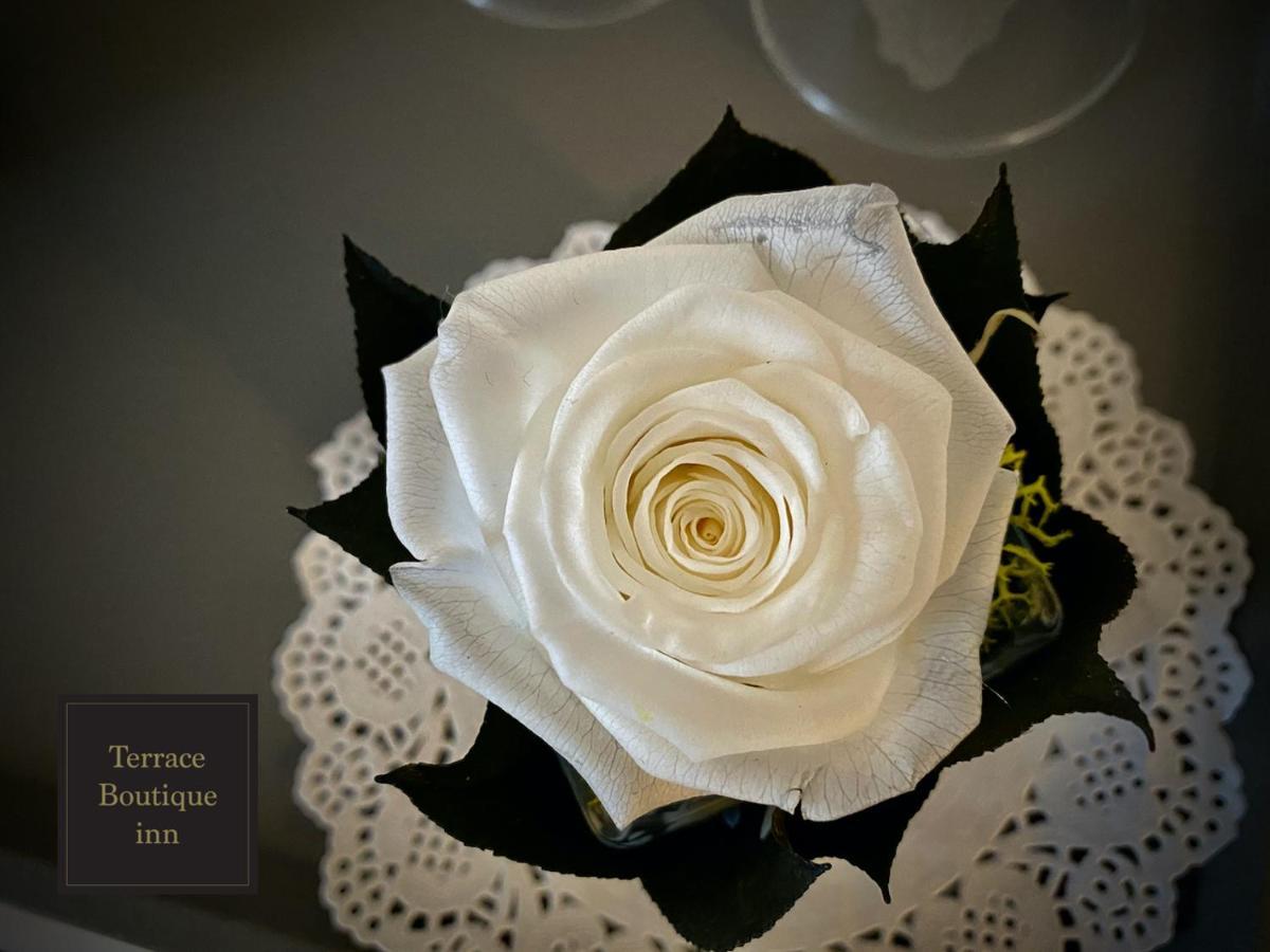 Terrace Boutique Inn Rome Luaran gambar